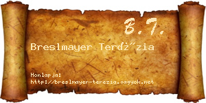 Breslmayer Terézia névjegykártya